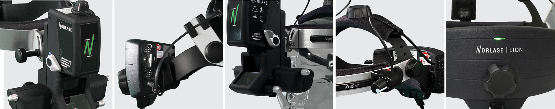 detail lion laser